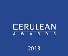 cerulean-award 2013 Vision Teknik PT